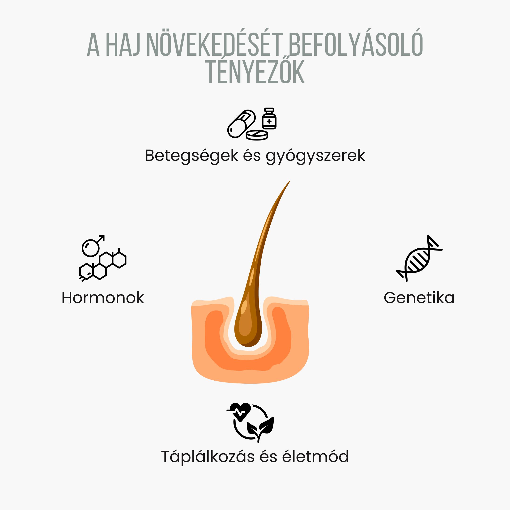 (Maďarština) Faktory ovlivňující růst vlasů